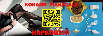 крисы Моздок