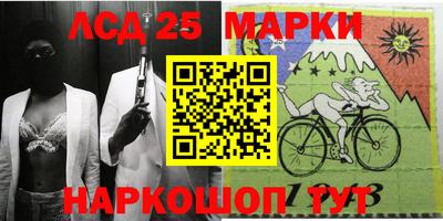 индика Можга