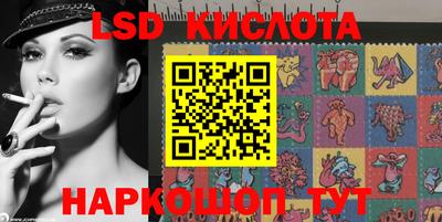 индика Можга