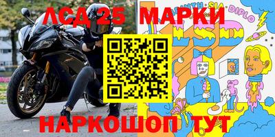 индика Можга