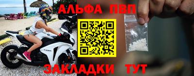 индика Можга