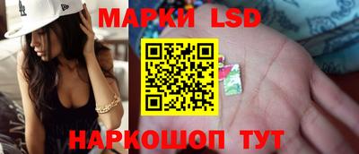 индика Можга
