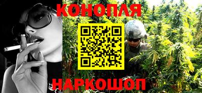 крисы Моздок