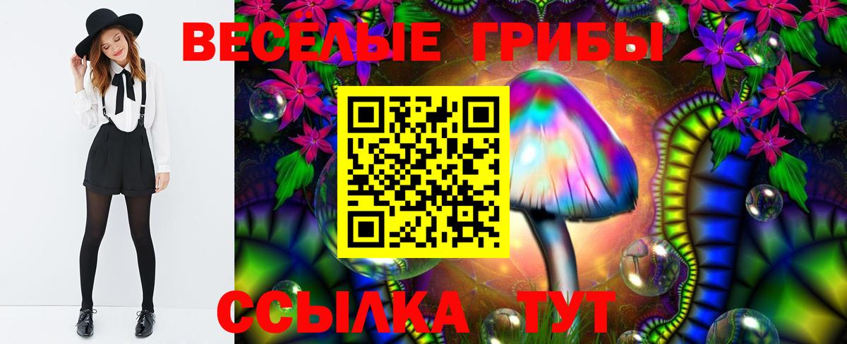 купить  цена  Вход с VPN  Тулун  Галлюциногенные грибы Cubensis 