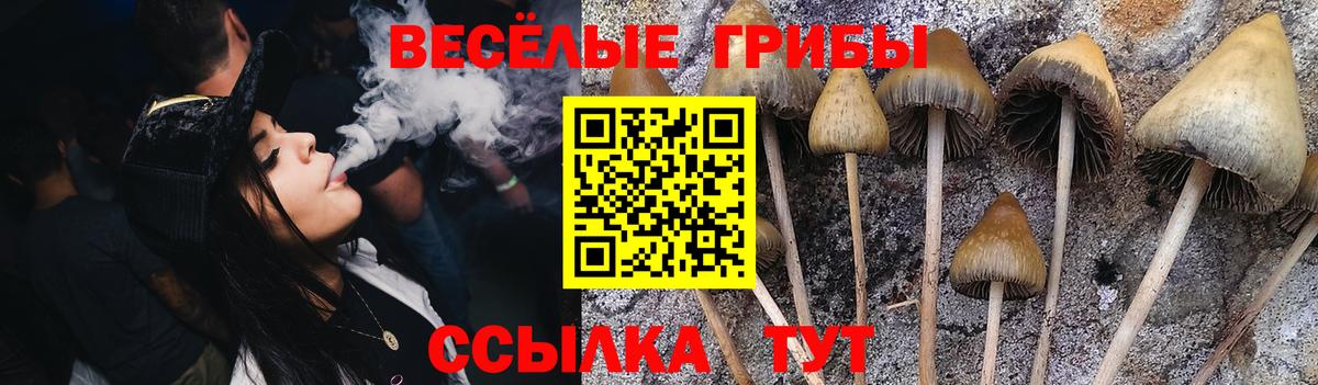 Галлюциногенные грибы мицелий Тулун